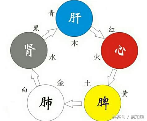 李 五行屬性 快速記憶學八字pdf